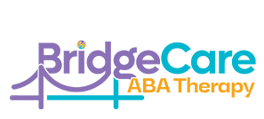 bridge-care